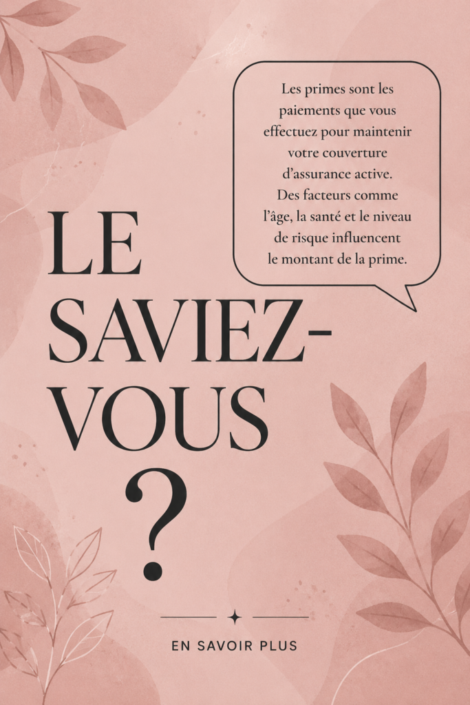 Illustration d'une leçon d'anglais sur l'auxiliaire DID