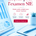 Représentation du Service des Impôts des Entreprises avec un logo distinctif.