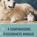 Femme examinant les options d'assurances pour animaux avec son chien à ses côtés.