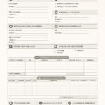 Fiche client bien conçue avec des informations importantes pour les entreprises