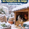 Jardin enneigé préparé pour la tempête de neige